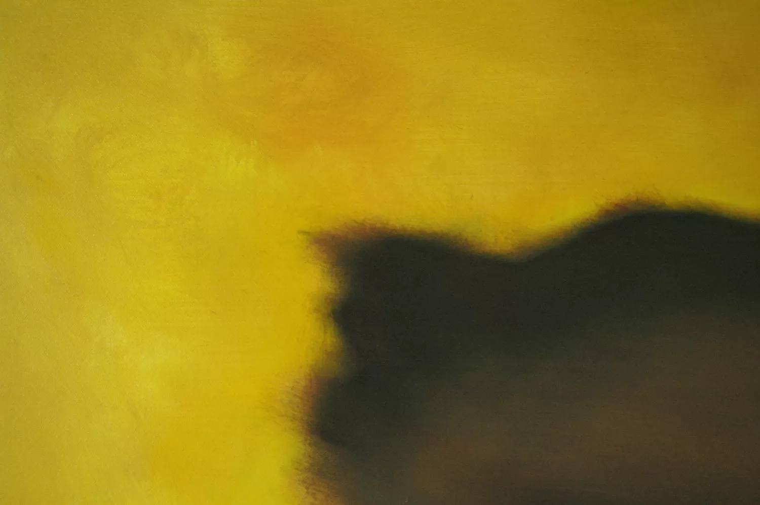 The true about yellow - Image 2