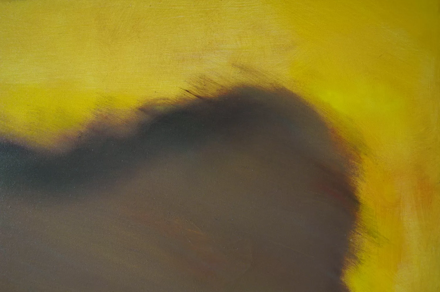 The true about yellow - Image 3