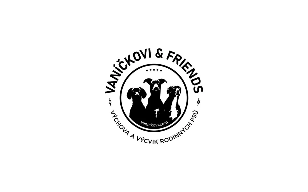 VANICKOVI AND FRIENDS
