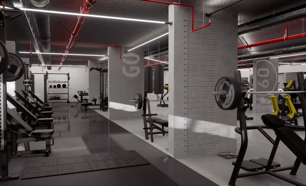 COXS GYM - Visualization