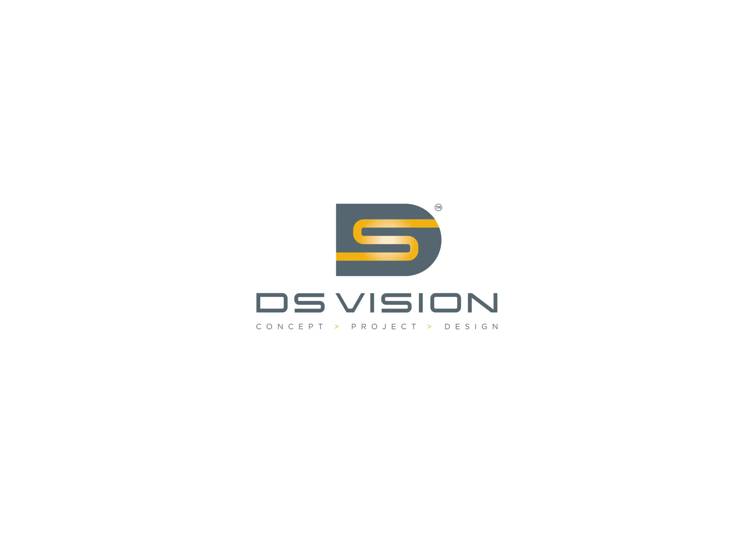 DS VISION – Logotype