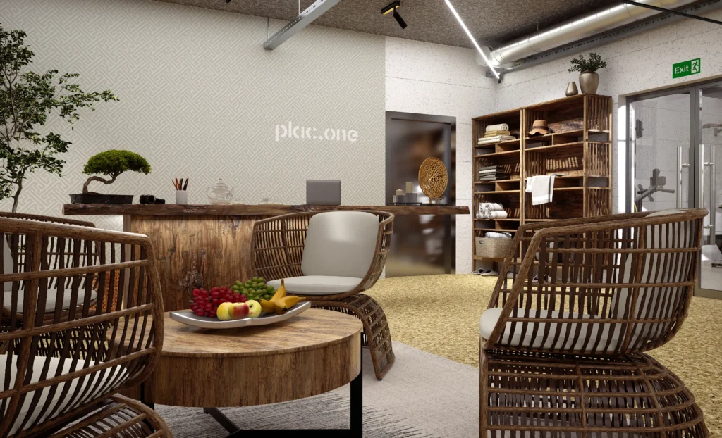 PLAC.ONE - Visualization